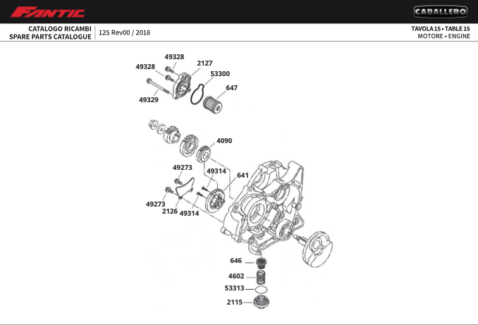 8ea6xZusWC_15 - moteur (CABALLERO 125 MY 2018 - SCRAMBLER).png